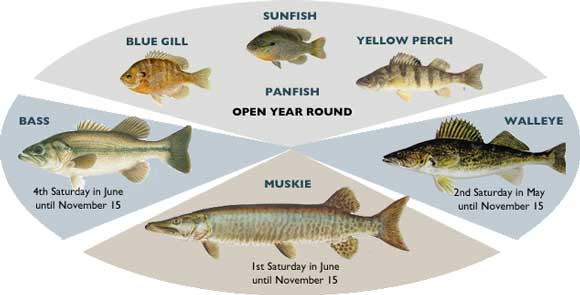 Ontario Fish Chart